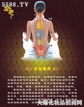 �V�ݼ���������Ƽ����޹�˾�����������w�������B(y��ng)�׽�B