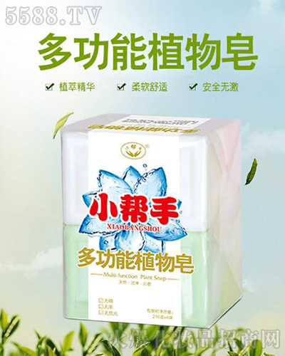 �ӱ�С�����ջ��Ƽ��ɷ����޹�˾��С���ֶ๦��ֲ����