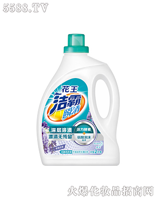 �Ϻ��������޹�˾������˲��o��ϴ��Һ�����ٻ��㣩2kg