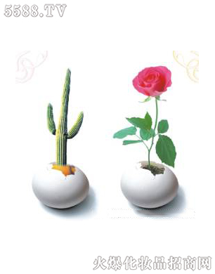 �Ϻ���������Ƽ����޹�˾����ǻ�ޏ�(f��)3��ɆT