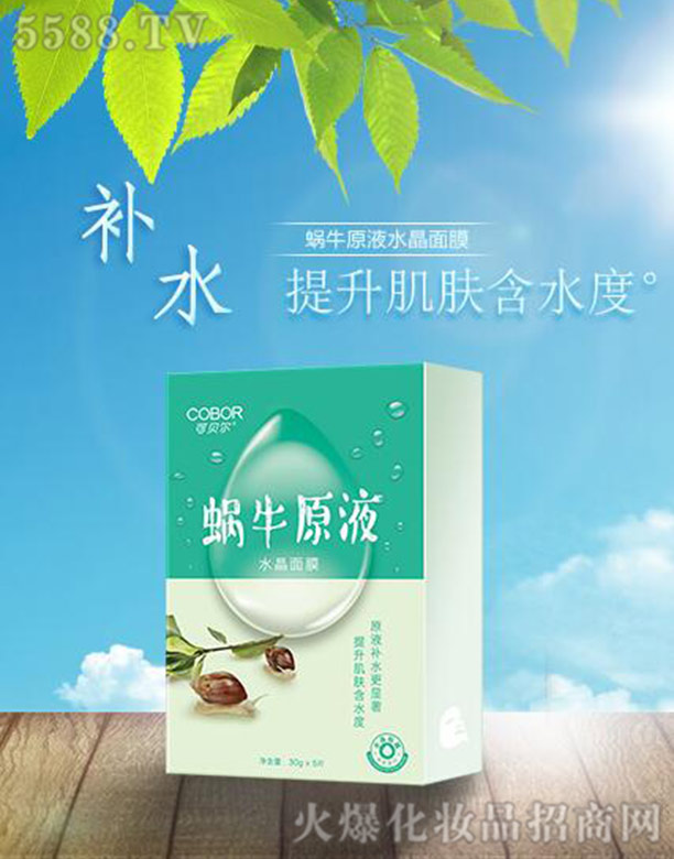 �Ϻ����{���������g(sh��)���޹�˾��΁ţԭҺ��Ĥ5Ƭ