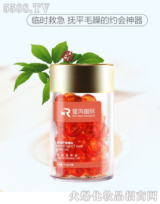 �V�|��������Ƽ����޹�˾������Ħ����o(h��)�l(f��)�����z��