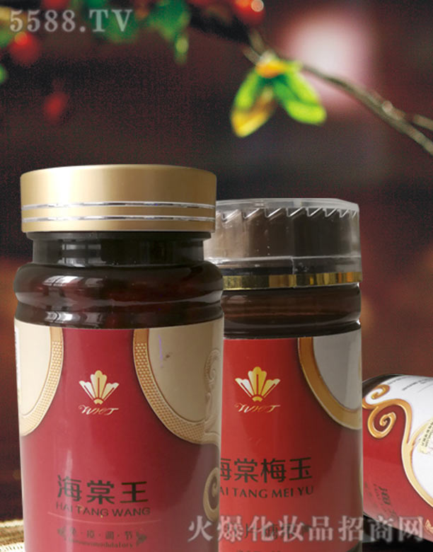 �����t(y��)ˎ�Ƽ����޹�˾�������Ŀڷ��{��ϵ��