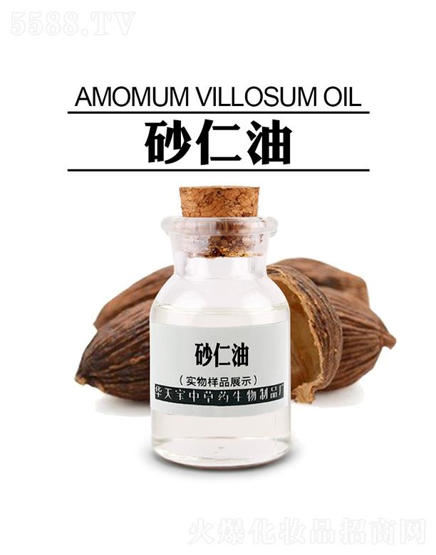 �������A�쌚�в�ˎ������Ʒ�S���A�쌚ɰ����