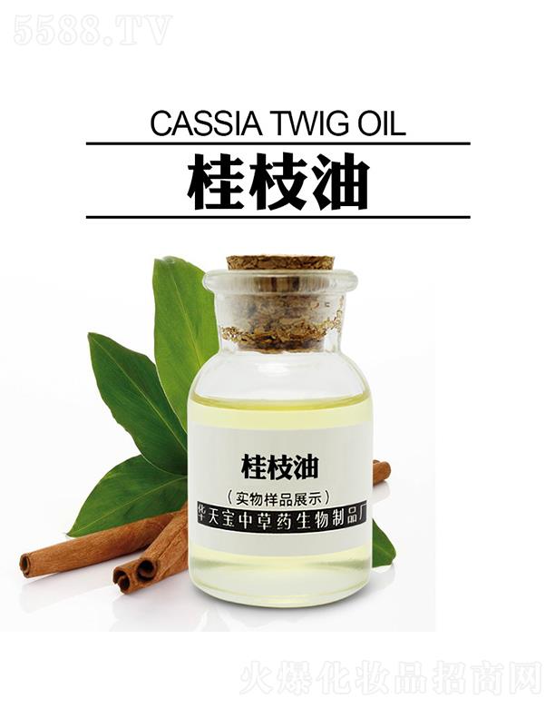 �������A�쌚�в�ˎ������Ʒ�S���A�쌚��֦��