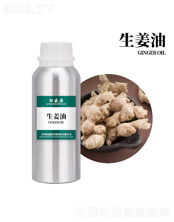 ������ʢԴ����Ƽ����޹�˾����ʢԴ������