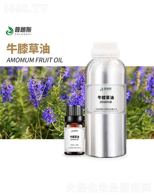 �V������˹����Ƽ����޹�˾������˹ţϥ����