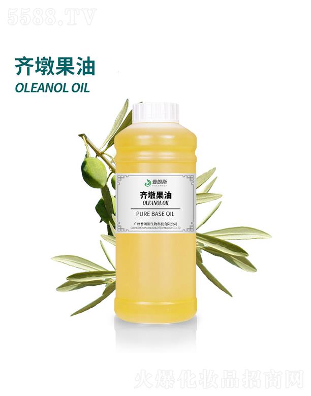 �V������˹����Ƽ����޹�˾������˹�R�չ���