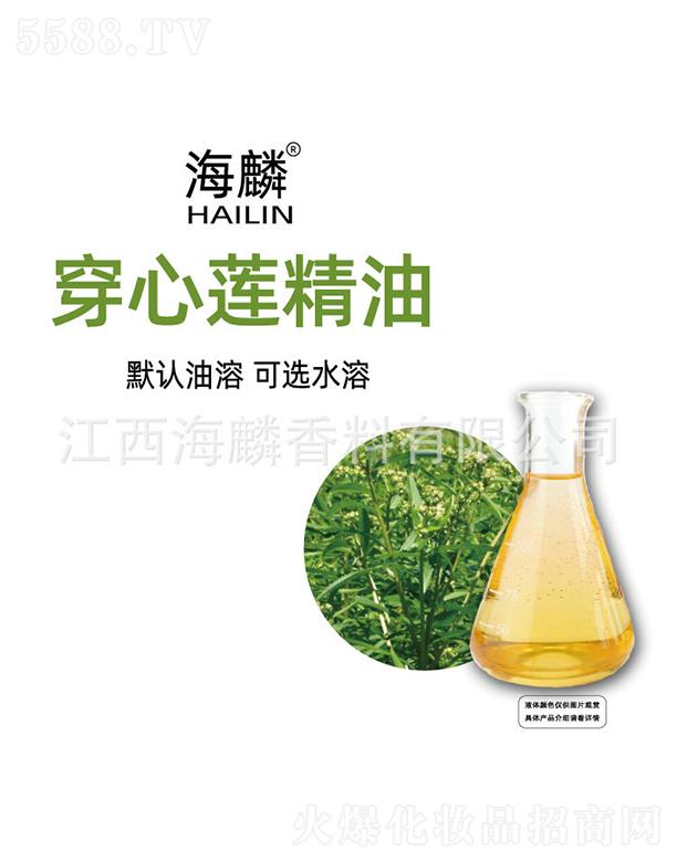 ���������㾫���޹�˾�����봩��ɏ����