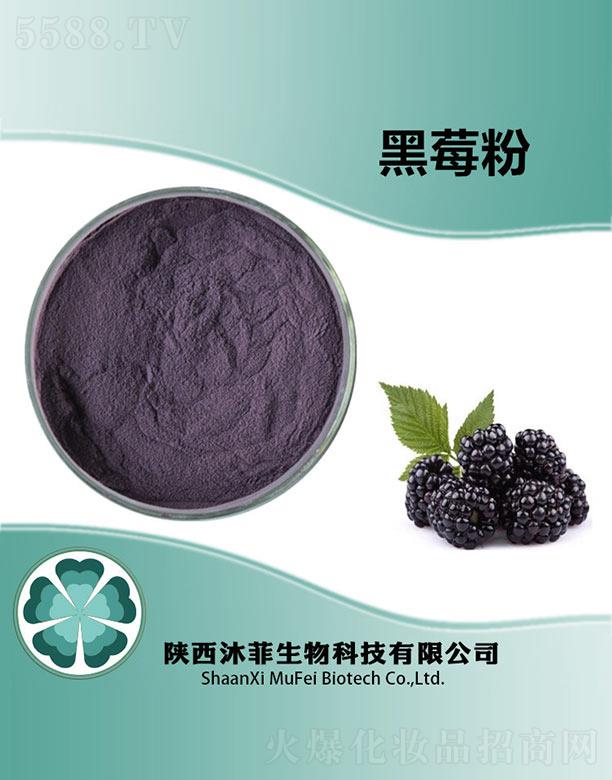 ����������Ƽ����޹�˾����ƺ�ݮ��