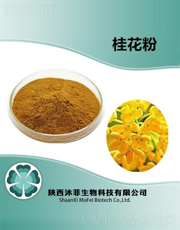 ����������Ƽ����޹�˾����ƹ𻨷�