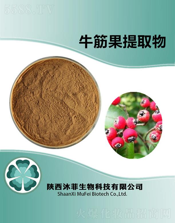 ����������Ƽ����޹�˾�����ţ�����ȡ��