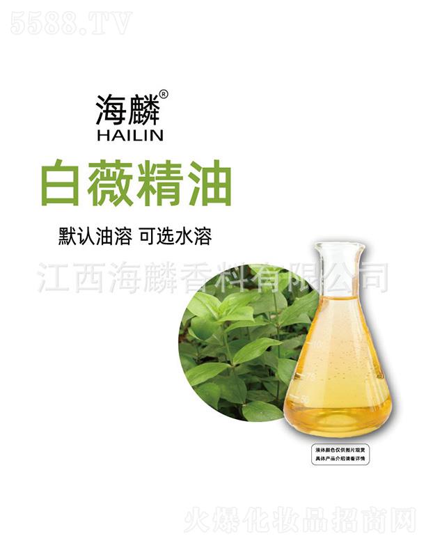 ���������㾫���޹�˾�������ޱ����