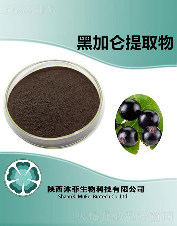 ����������Ƽ����޹�˾����ƺڼӁ���ȡ��