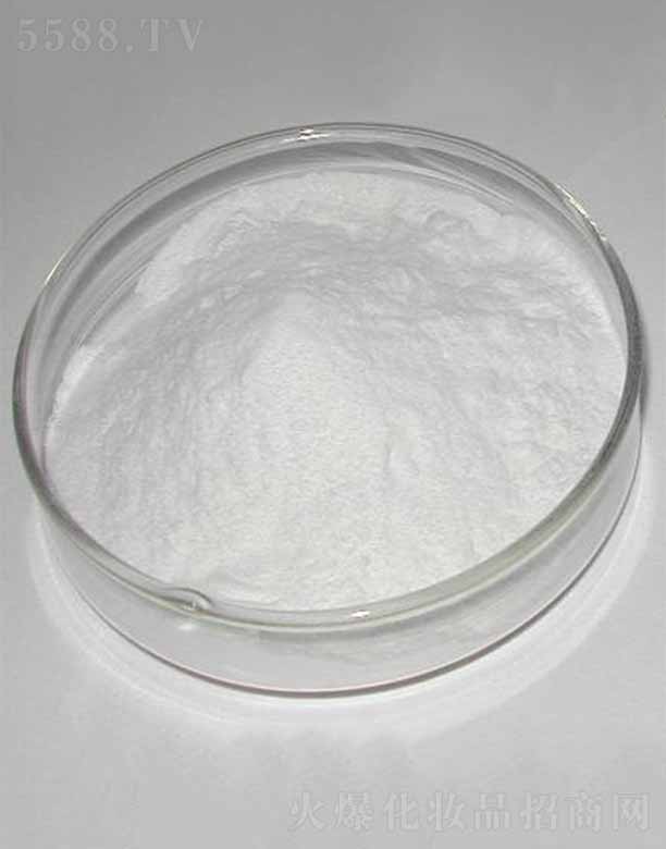 �ɶ������������޹�˾������-9/������/������