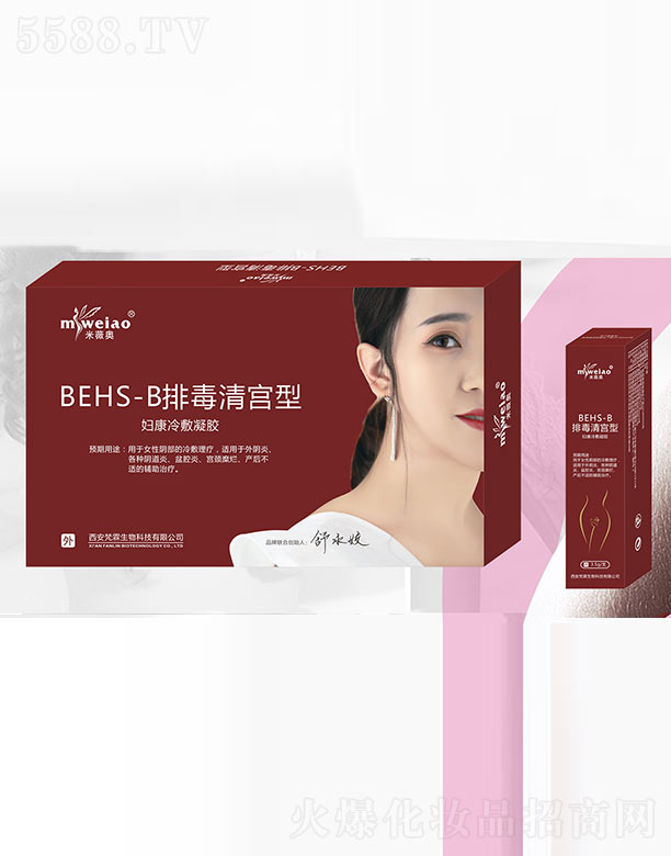 ������������Ƽ����޹�˾����ޱ�WBEHS-B��m�ͣ��D��������z��