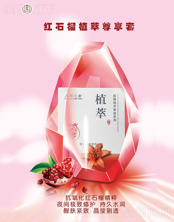 �V�ݼ��|����Ƽ����޹�˾����ľ���ݼtʯ��ֲ��������