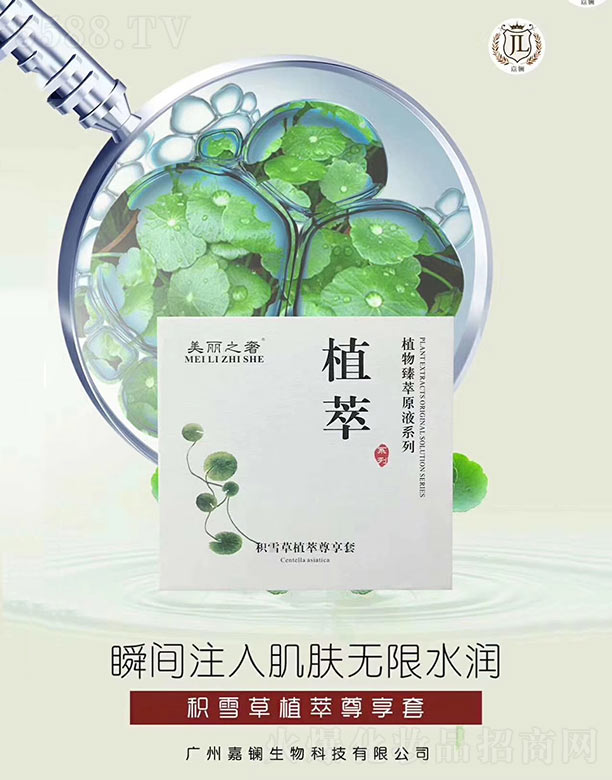 �V�ݼ��|����Ƽ����޹�˾���F����eѩ��ֲ��������