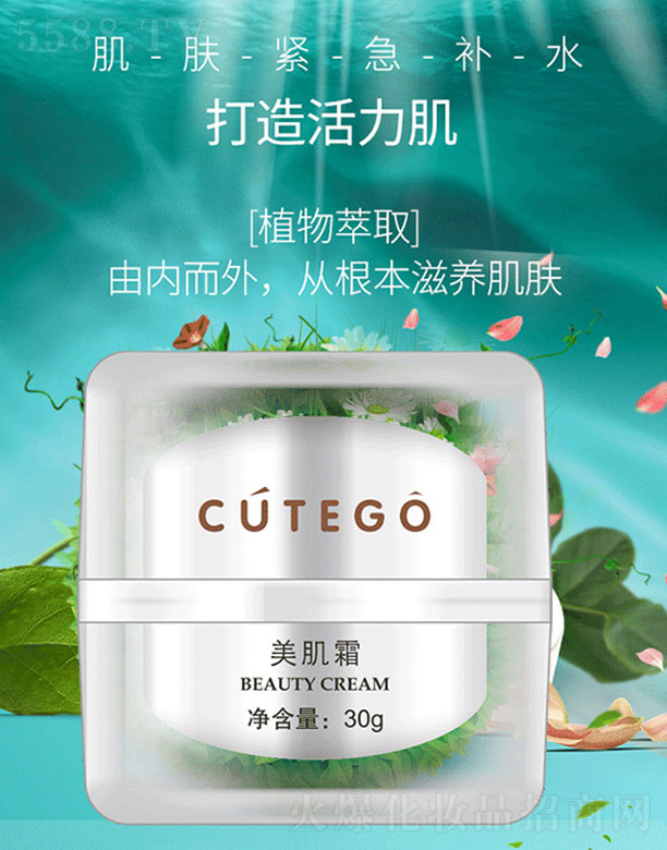 �V����������Ƽ����޹�˾������˪ 30g