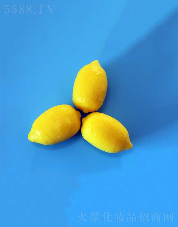 �P�ݻ��i�ջ���Ʒ���޹�˾��������SSH-010