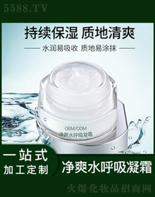 �V�����������＼�g���޹�˾����ˬˮ������˪ 55g