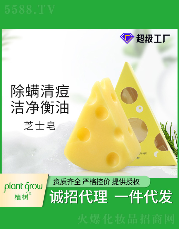 �V�|�������Ƽ����޹�˾��֥ʿ��