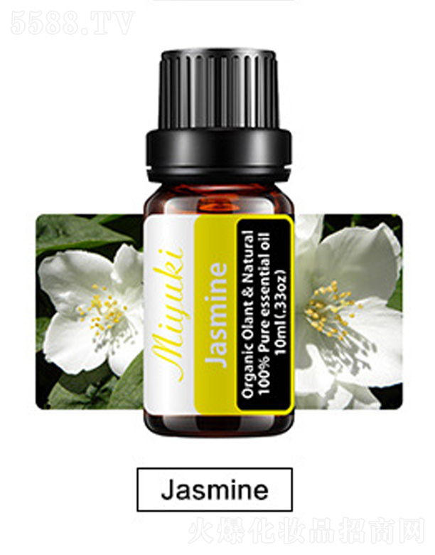 �V���׋I����Ƽ����޹�˾���o(h��)�w��޹��Ħ��-Jasmine����