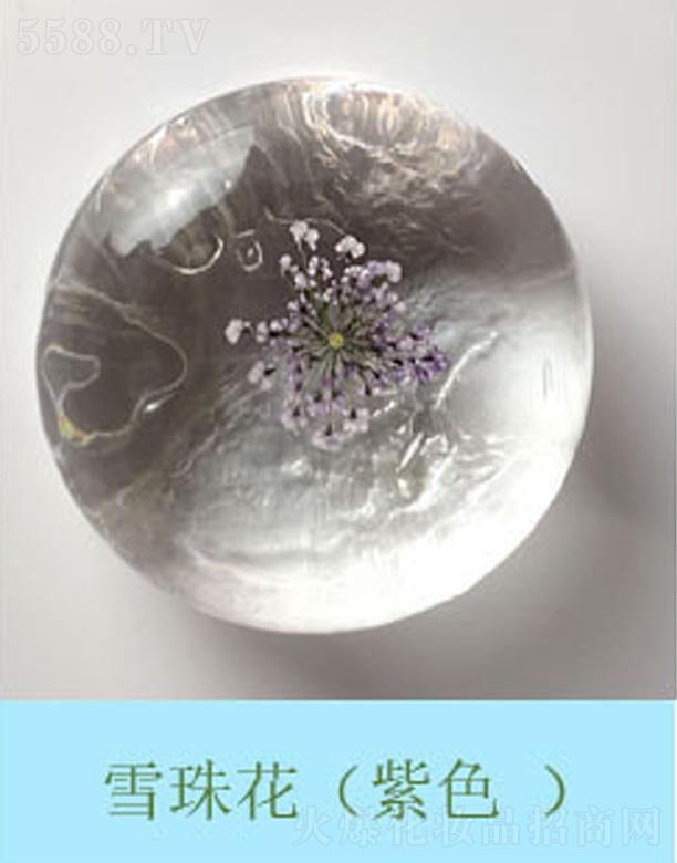 �V���к����m����Ƽ����޹�˾���������r����ѩ�黨����ɫ��