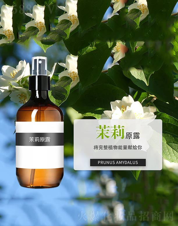 ����ɭ����Ƽ�(���u)���޹�˾������ԭ¶