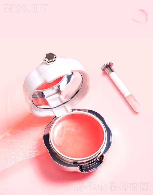 ������ܽ���yƷ���޹�˾��ѩ������ݮ����˯�ߴ�Ĥ 13g �̝�ȥƤ�ڼt���