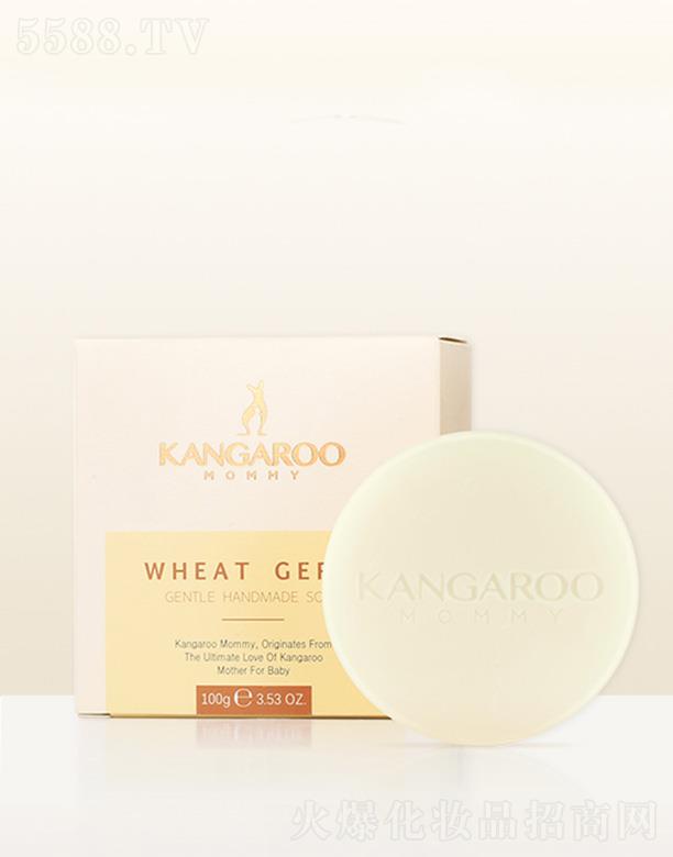 �V�ݐ������Ƽ����޹�˾�����󋌋�С����ѿ�坙(r��n)���w�� 100g�ӌ�ጷ�����ˮ���x�輡�wˮ��(r��n)����