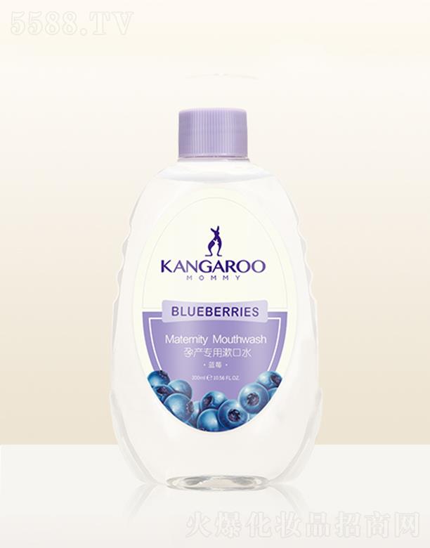 �V�ݐ������Ƽ����޹�˾�����󋌋��Юa(ch��n)��������ˮ���{(l��n)ݮ��300ml�h(yu��n)�x���N���܆��}