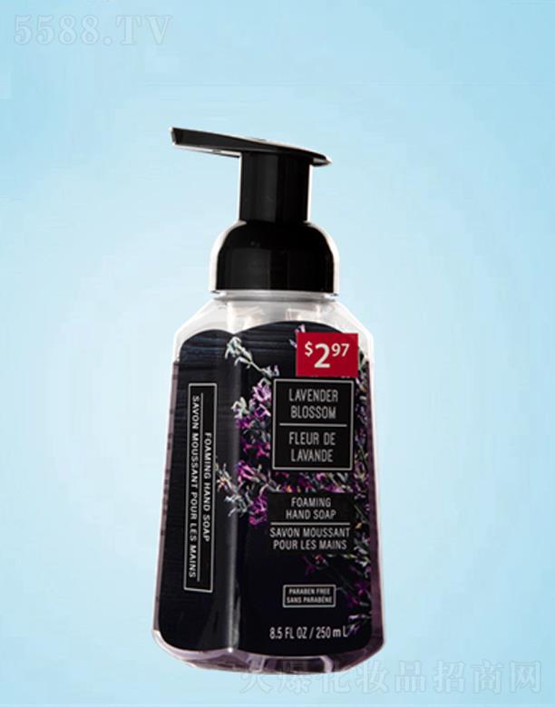 ����׿�(sh��)�I(y��)���޹�˾��׿����ĭϴ��Һ 250ml  �H�w��ĭ