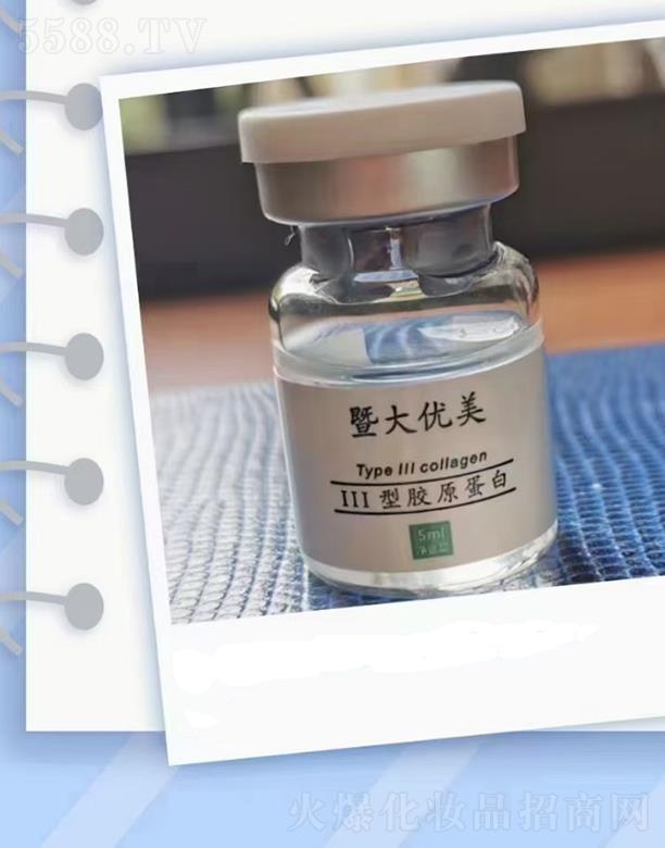 �Ϻ�ܽ��������Ƽ����޹�˾���ߴ�(y��u)��III�zԭ���� ���Ə���