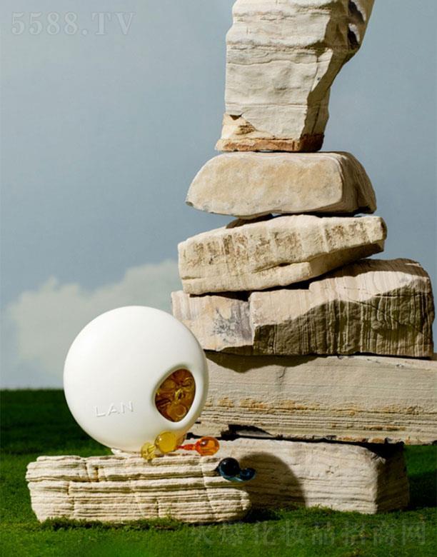 �����m�����yƷ���޹�˾�������m��  �m�z�ҕr(sh��)����    ��������   40��