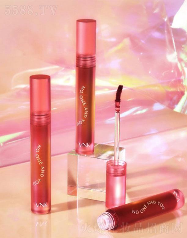 �Ϻ��\������̄�(w��)���޹�˾��VNK��w�B���R�洽��