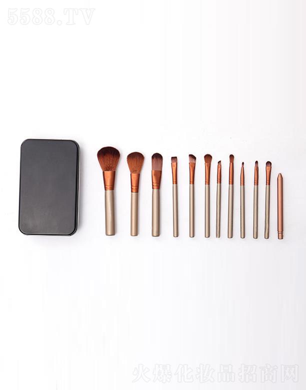 �����ЅR���_(d��)���yˢ���޹�˾���R���_(d��)���ֻ��y��ˢ�F��12֧��