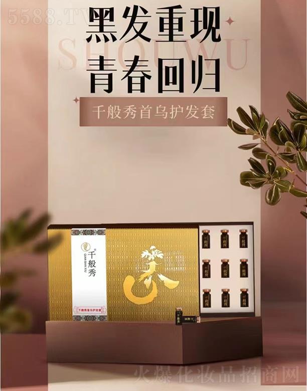 �V������������Ƽ����޹�˾��ǧ�����מ��o�l(f��)��