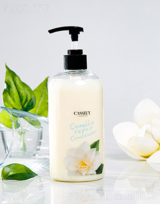 �V�|���z�ə�(qu��n)Ͷ�Y���F(tu��n)���޹�˾�����z�Ͳ����̝��o(h��)�l(f��)��