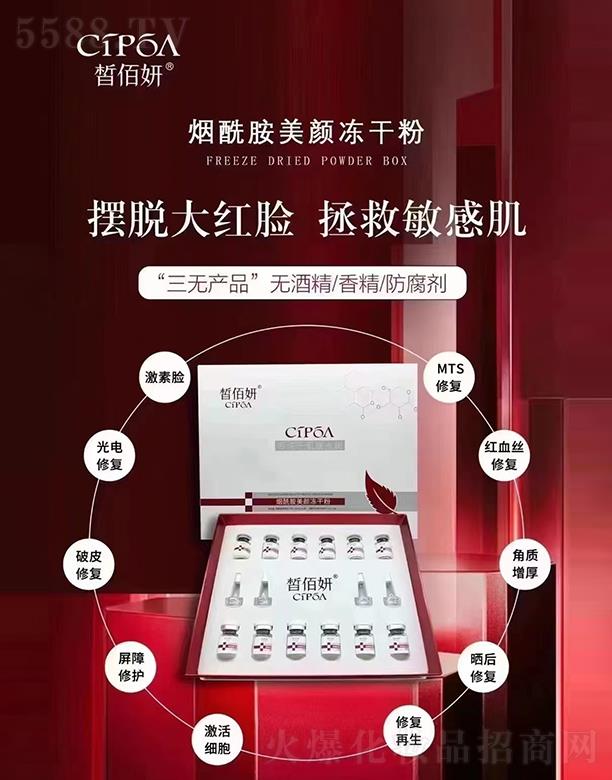 �Ĵ��A����������Ƽ����޹�˾����������ޏ̓��ɷ�