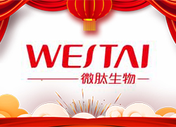 金龍送福，開門大吉！廣州微肽給您拜年了！