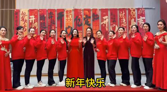 蛇年好運至，幸福滿人間！飛斯達祝您百事從歡，一路向陽！