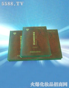 ��(x��)���C�܏�(f��)����