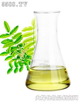 �\���þo�wͨ�j��Ħ����