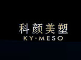 �V��������I(y��)�������޹�˾