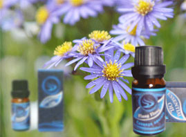 �Ϻ��ض����H�Q�����޹�˾