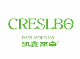 ���ϐ��������Ƽ����޹�˾