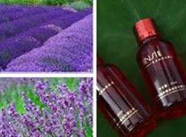 �V�ݐ���z���yƷ���޹�˾