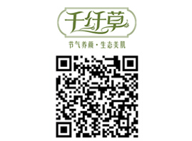 �P��ʮ����������Ƽ����޹�˾