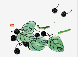 ɽ�|ʡ����ֵ��O�z�I���޹�˾